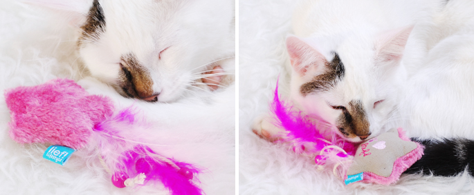 Lief Lief! kattenspeelgoed met catnip lief lifestyle review kat spelen lifestyle by linda jip