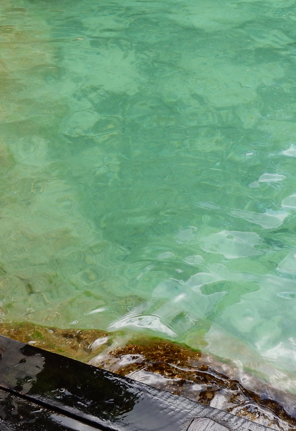 Emerald pool krabi thailand