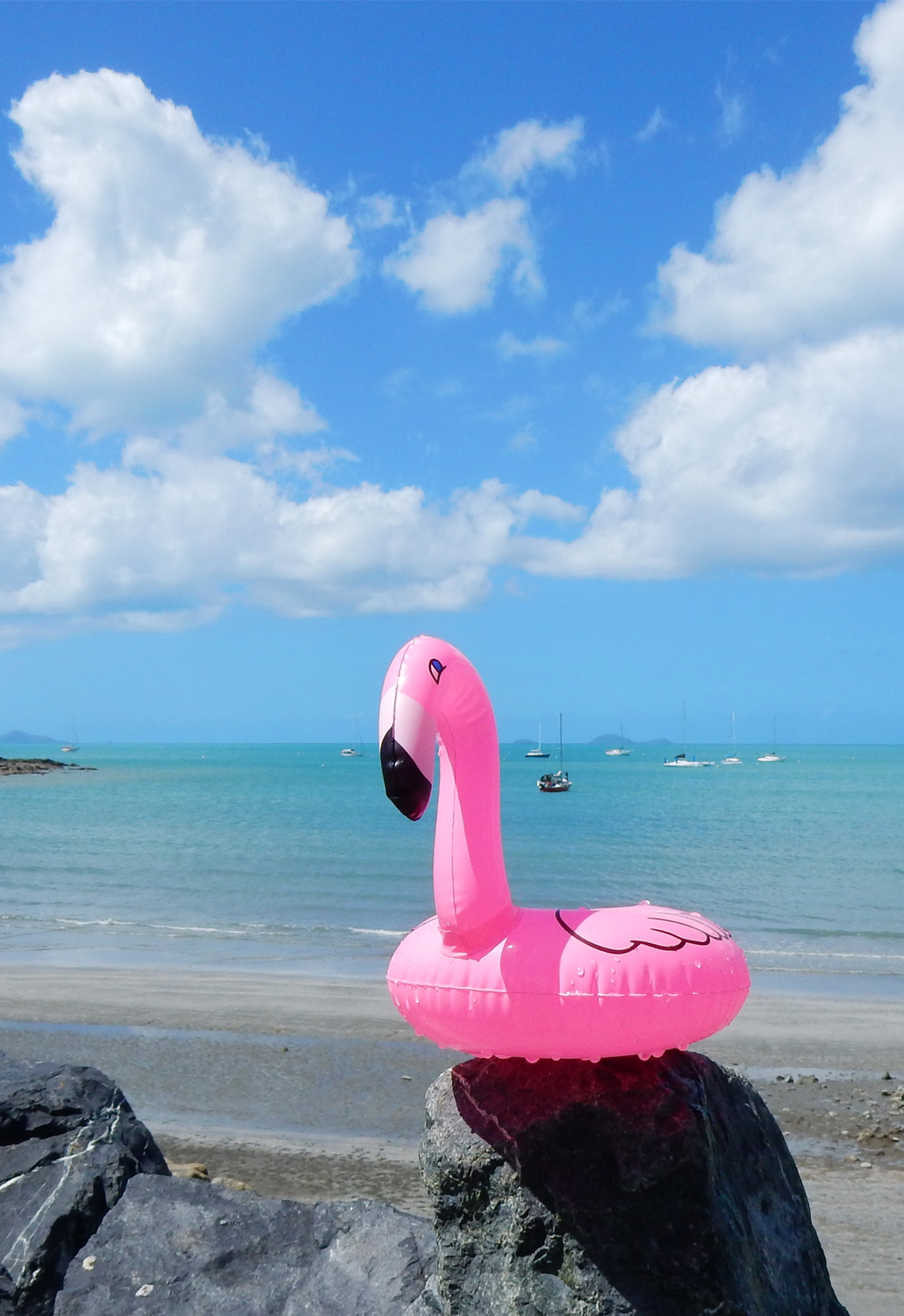 Poppy - Flamingo Fling bikini Triangl swimwear mackay beach australia airlie beach flamingo
