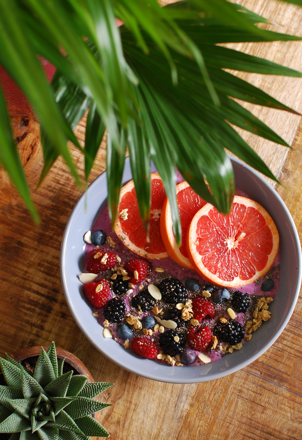 Forest Fruit Breakfast Bowl lifestyle by linda