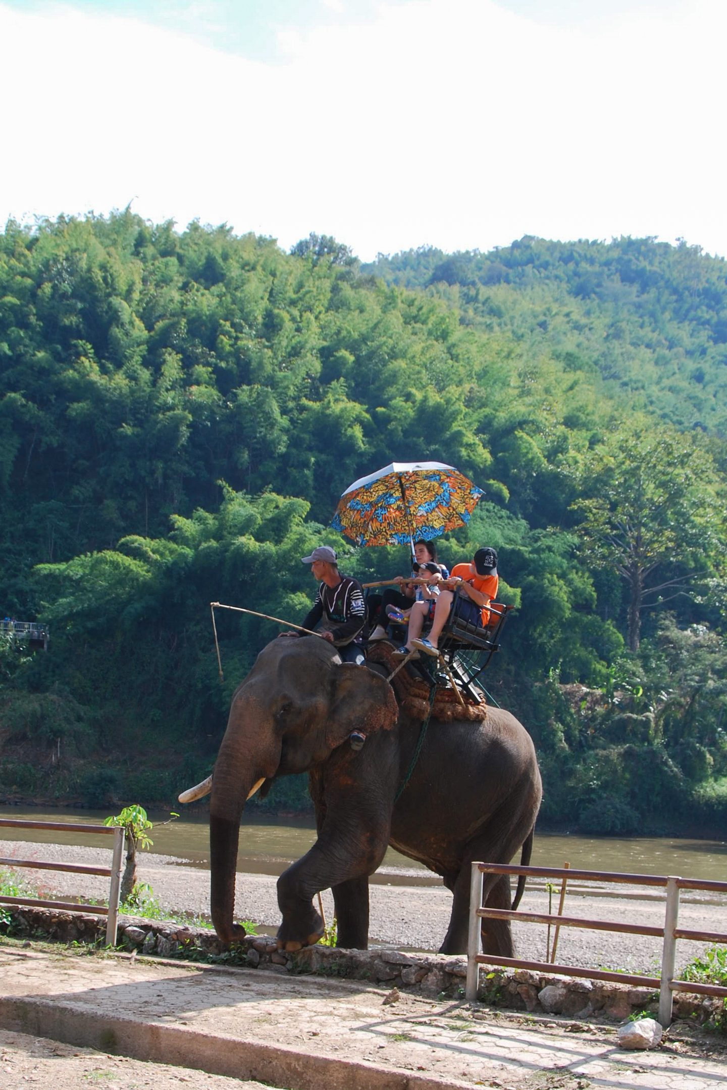 olifant olifanten Thailand Elephant parade