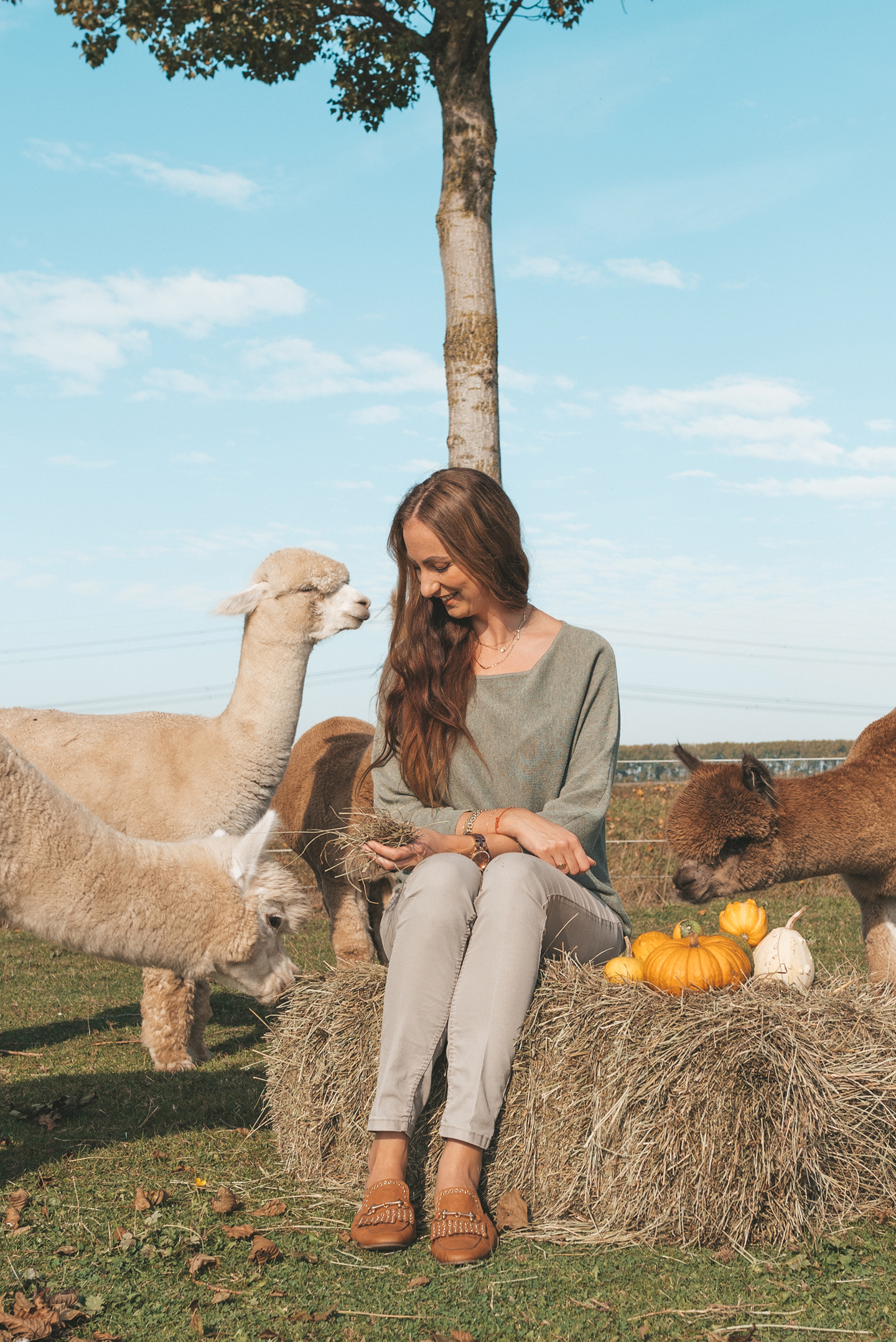 Alpaca's Linda's Wholesome Life herfst