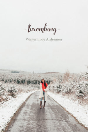 Luxemburgse Ardennen winter sneeuw