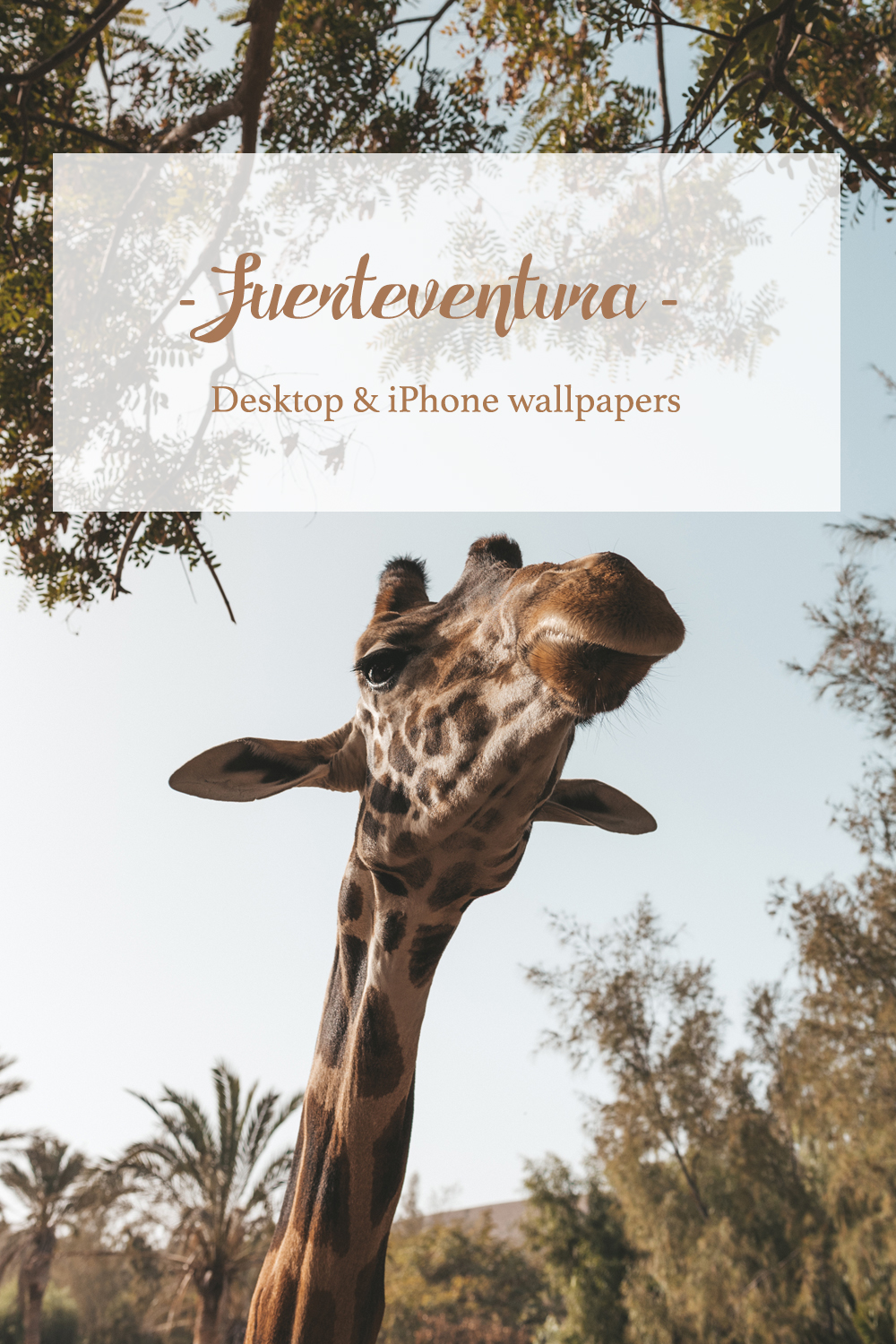 Fuerteventura Spain Canary Islands Desktop & iPhone wallpapers
