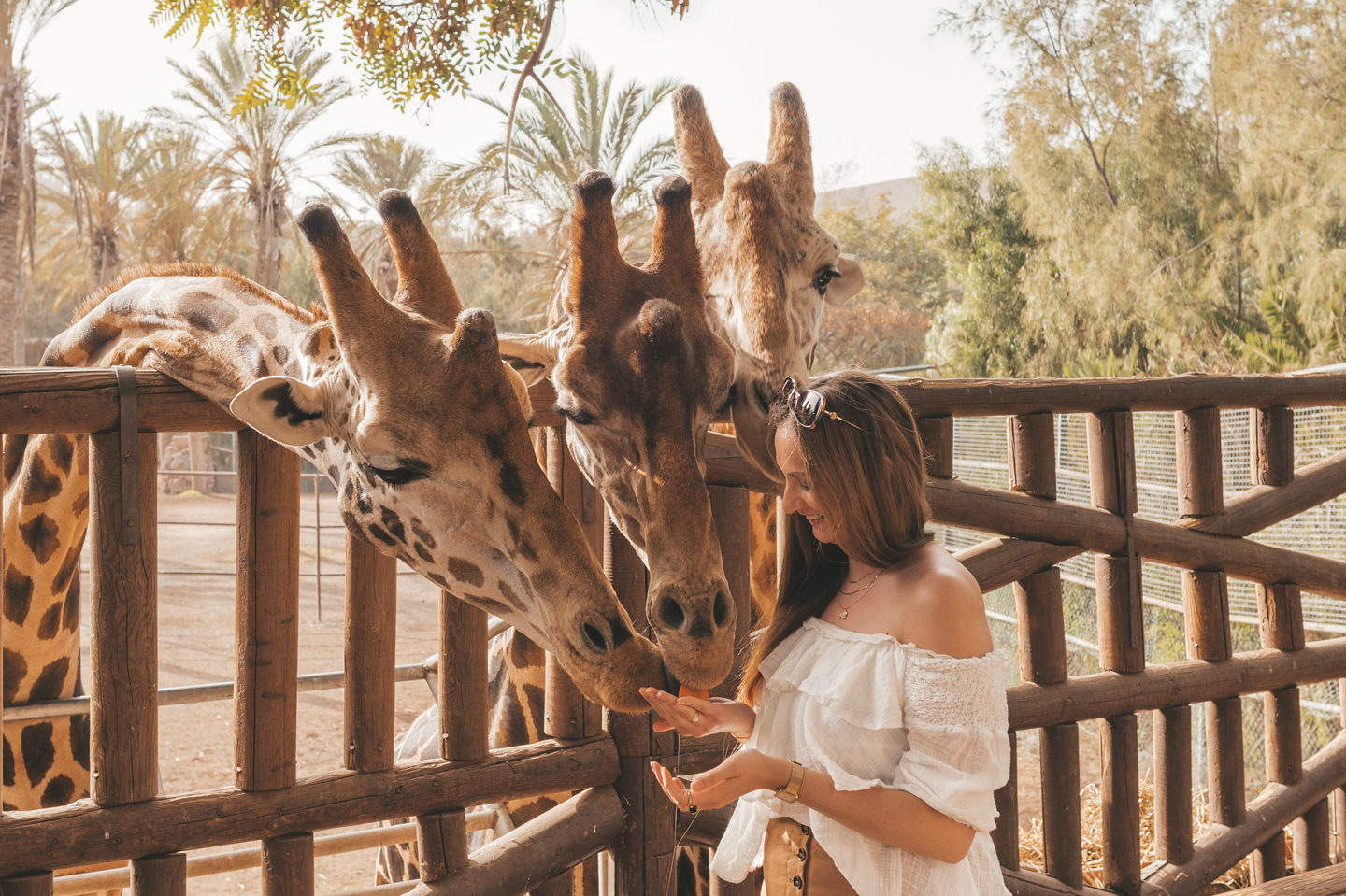 Misstanden dieren toeristen Linda's Wholesome Life