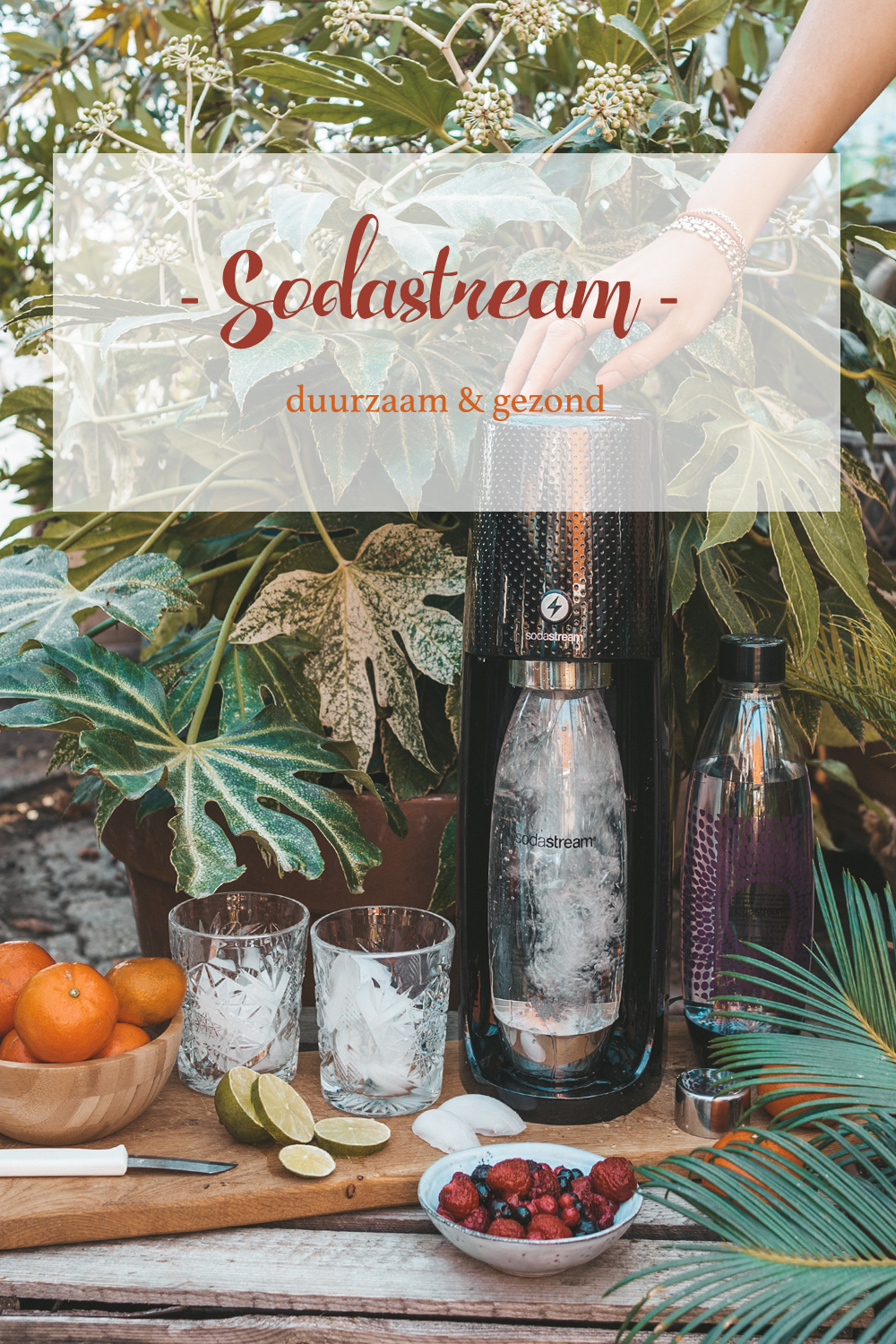 SodaStream Spirit One Touch Zwart Linda's wholesome Life Pinterest