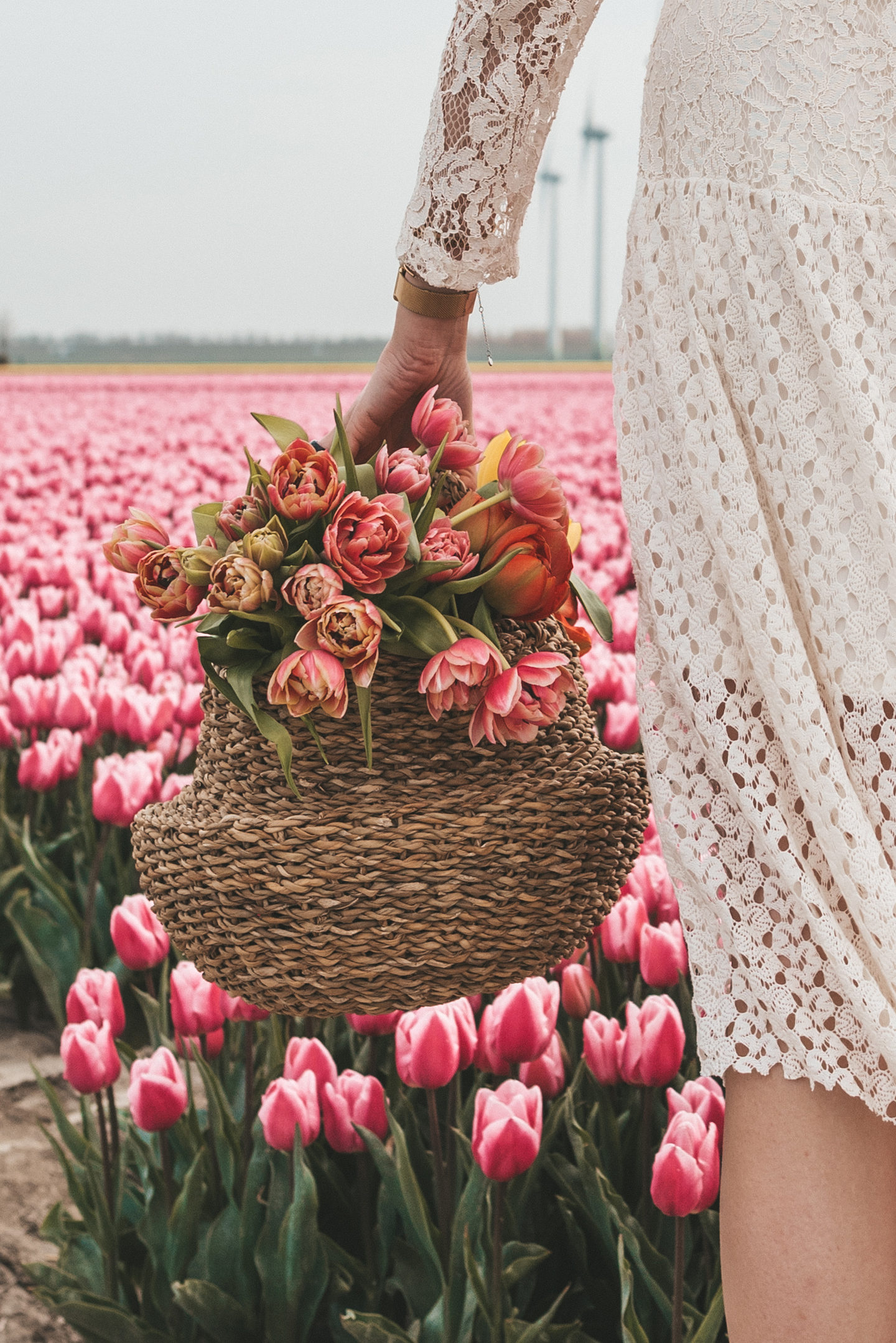 De mooiste tulpenvelden in Nederland