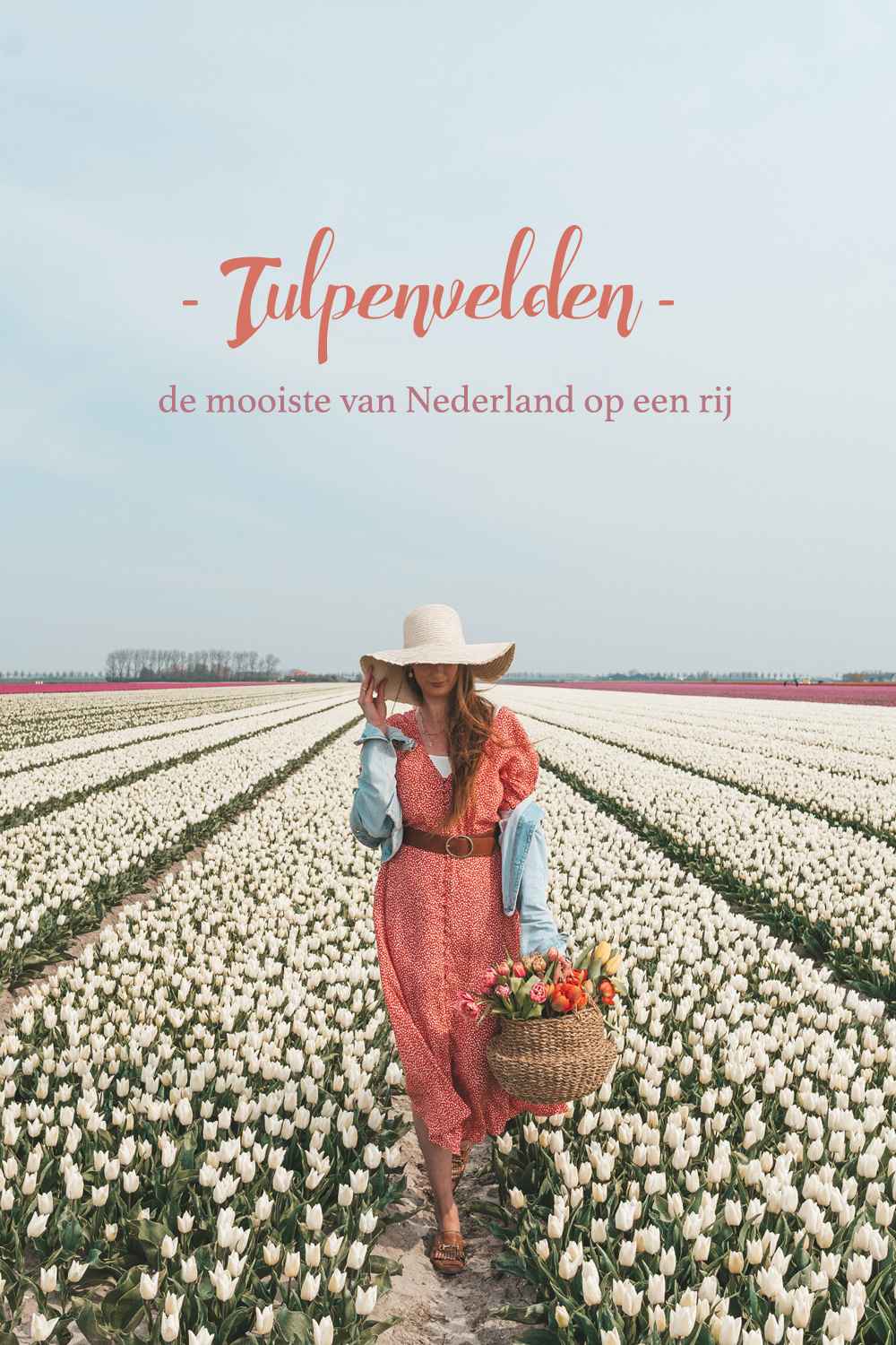 De mooiste tulpenvelden in Nederland
