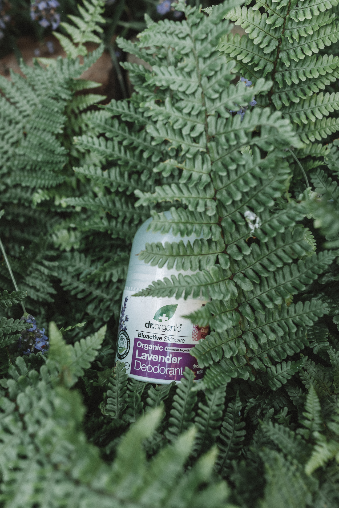 Dr. Organic Lavendel Deodorant